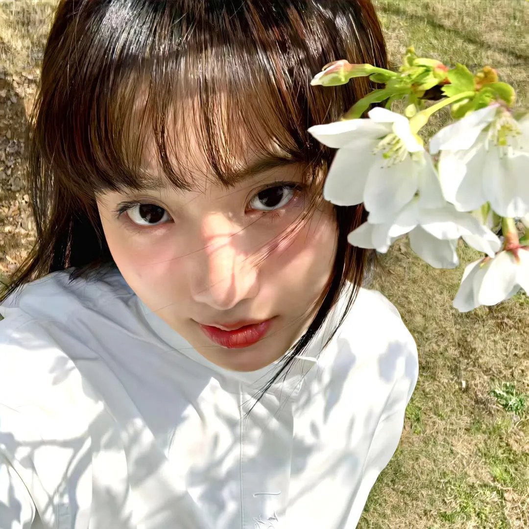 狐妖小红娘镜花缘篇